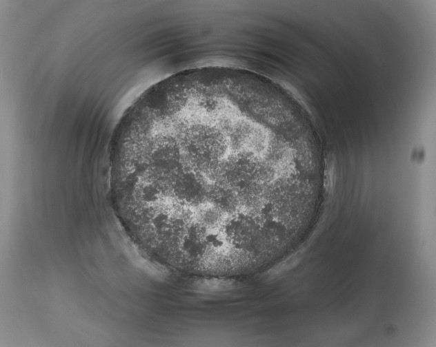 X0000112511117200909141153