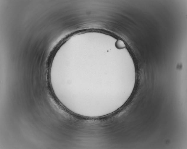 X0000112511118200909141153