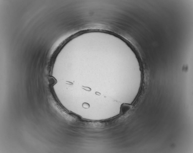 X0000112511120200909141153