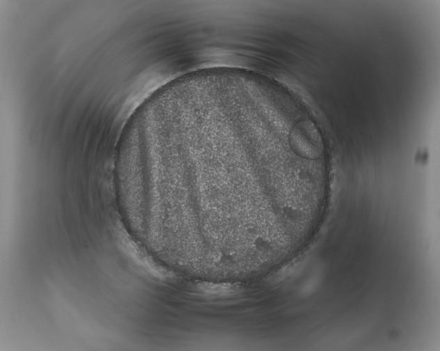 X0000112511121200909141153