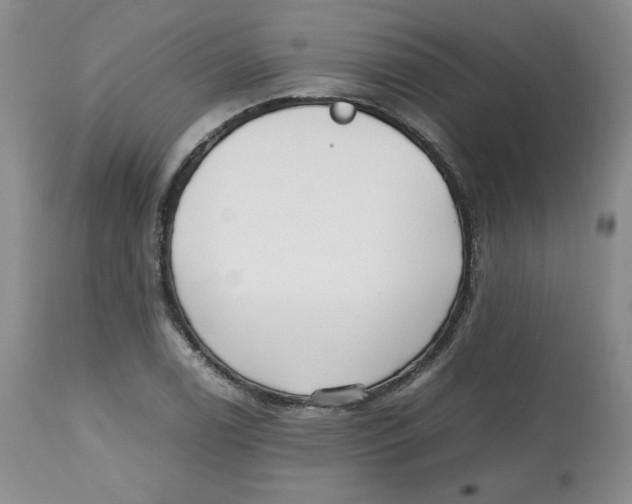 X0000112511122200909141153