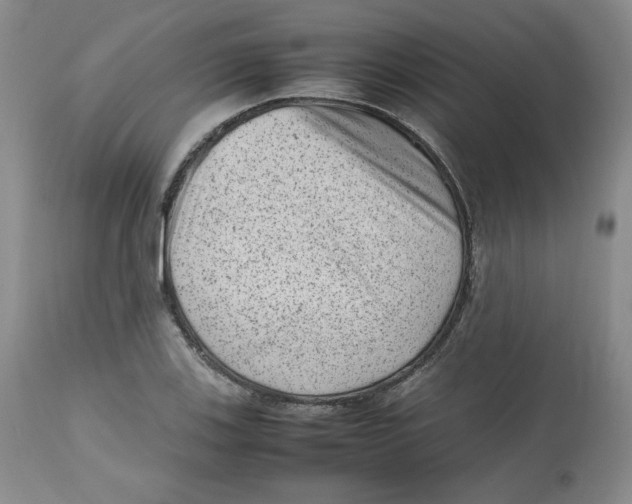 X0000112511123200909141153