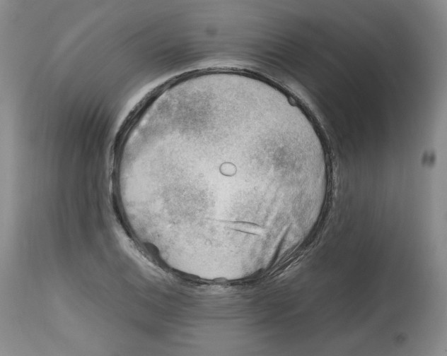 X0000112511124200909141153