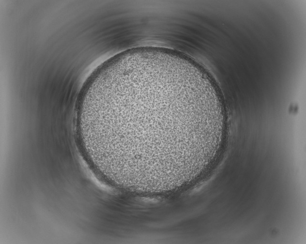 X0000112511125200909141153