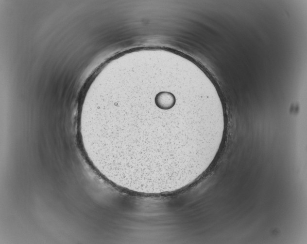 X0000112511126200909141153