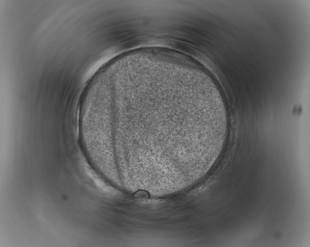 X0000112511127200909141153