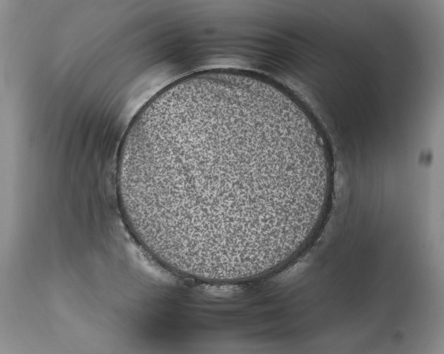 X0000112511129200909141153