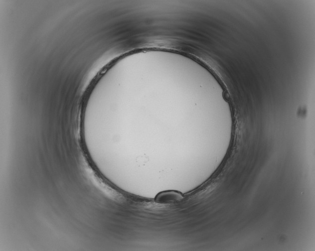 X0000112511131200909141153