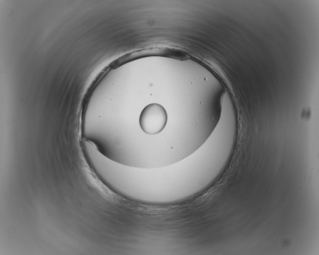 X0000112511132200909141153