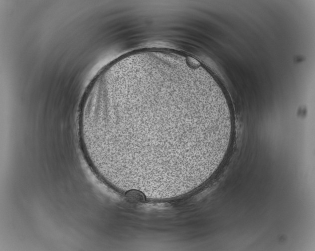 X0000112511133200909141153