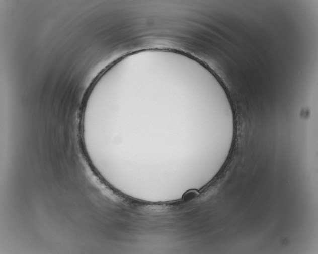 X0000112511134200909141153