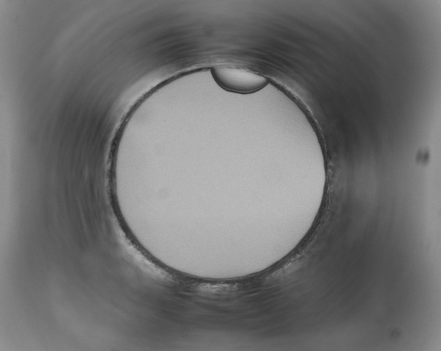 X0000112511135200909141153