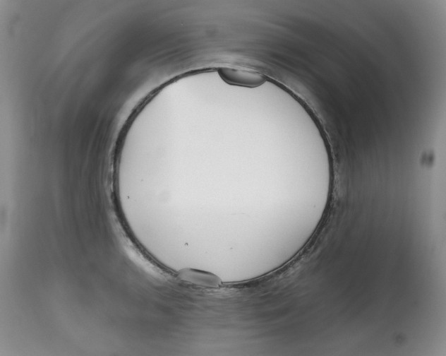 X0000112511136200909141153