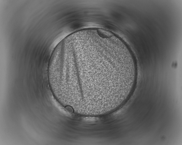 X0000112511137200909141153