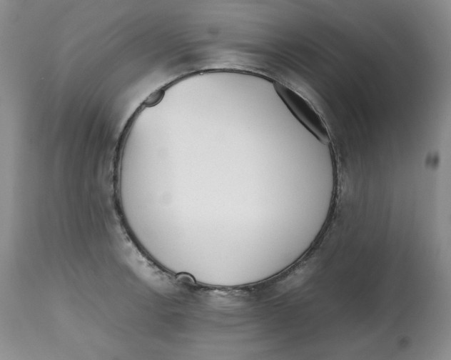 X0000112511138200909141153