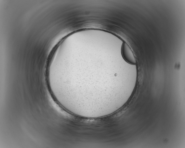 X0000112511139200909141153