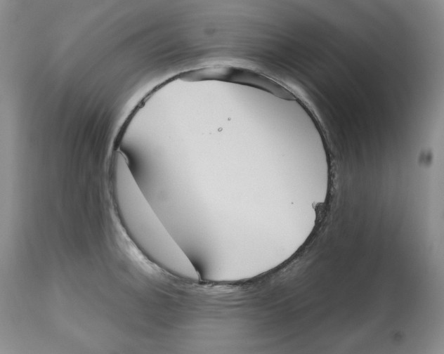 X0000112511140200909141153