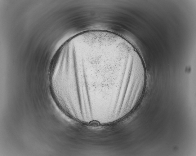 X0000112511141200909141153