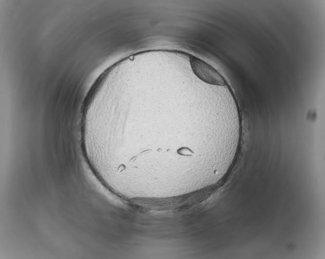 X0000112511142200909141153