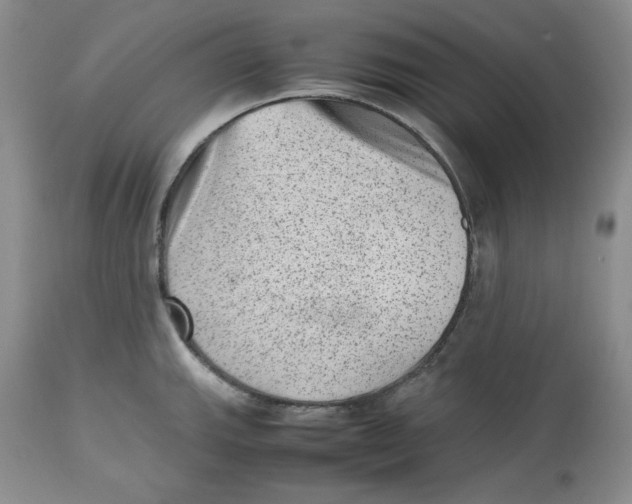 X0000112511143200909141153