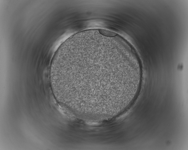 X0000112511145200909141153