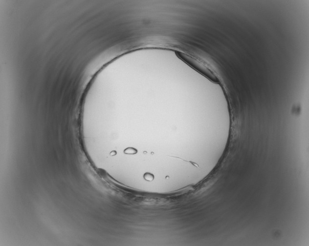 X0000112511146200909141153