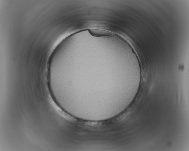 X0000112511147200909141153