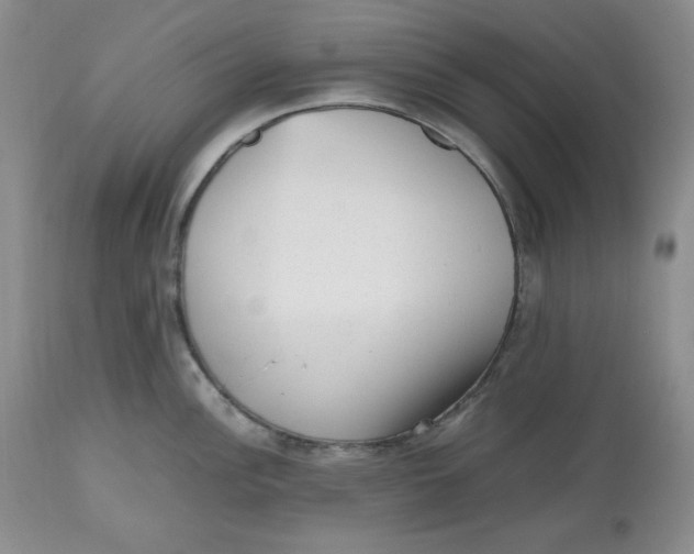 X0000112511148200909141153