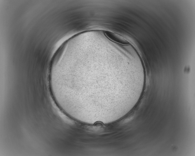 X0000112511149200909141153