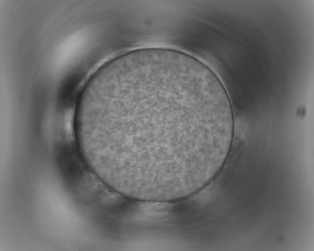 X0000112511150200909141153