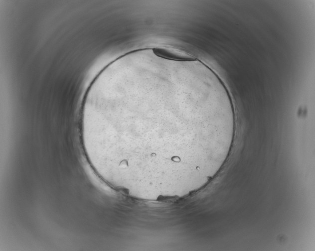 X0000112511152200909141154