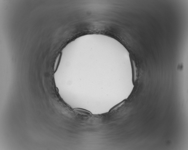 X0000112511153200909141153