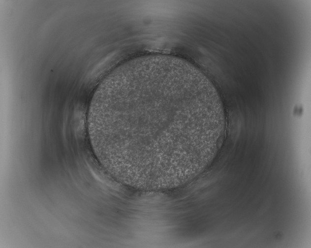 X0000112511154200909141153