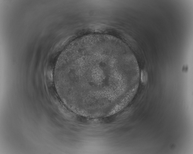 X0000112511155200909141153