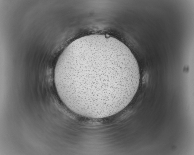 X0000112511156200909141153