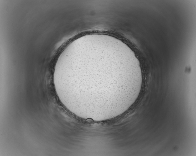 X0000112511160200909141153