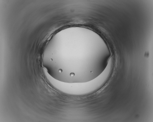 X0000112511161200909141153