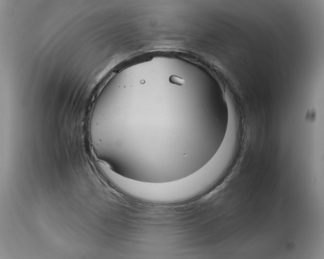 X0000112511162200909141153