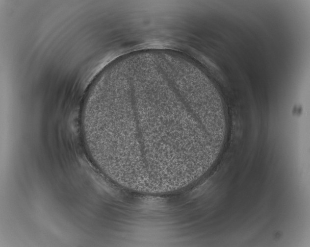 X0000112511170200909141152