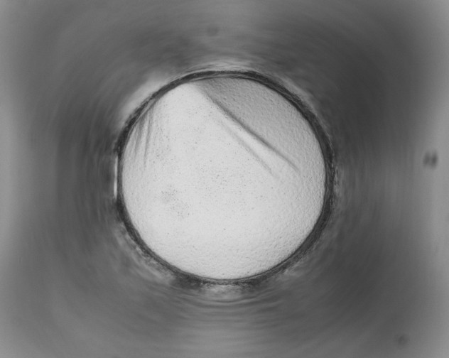 X0000112511171200909141152