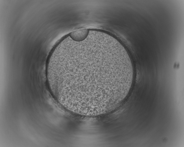 X0000112511174200909141152