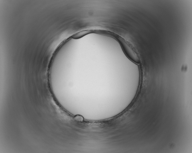 X0000112511181200909141152