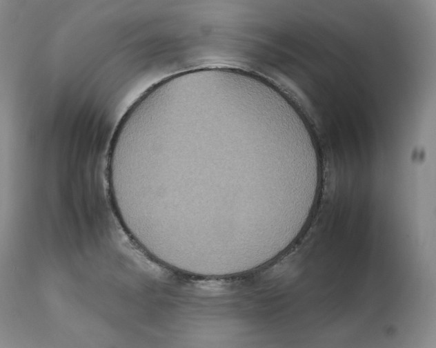 X0000112511182200909141152