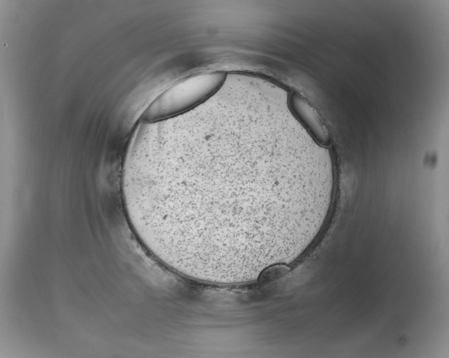 X0000112511185200909141152