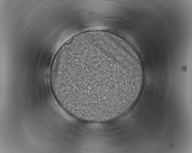 X0000112511186200909141152