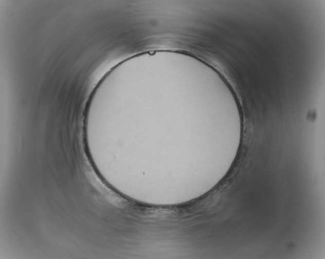 X0000112511187200909141152