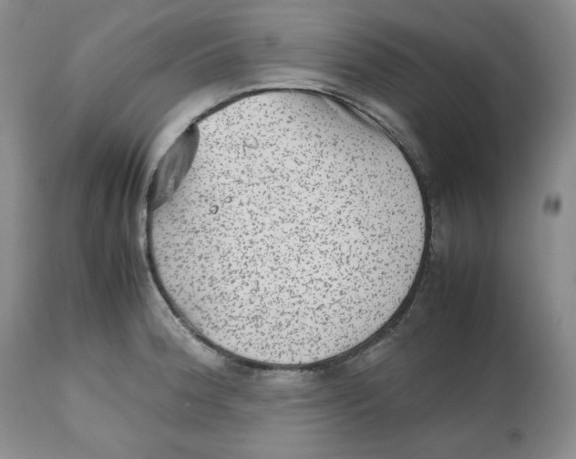 X0000112511188200909141152