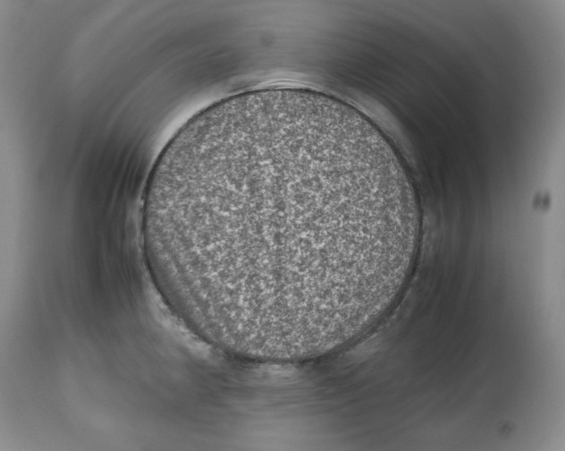 X0000112511190200909141152