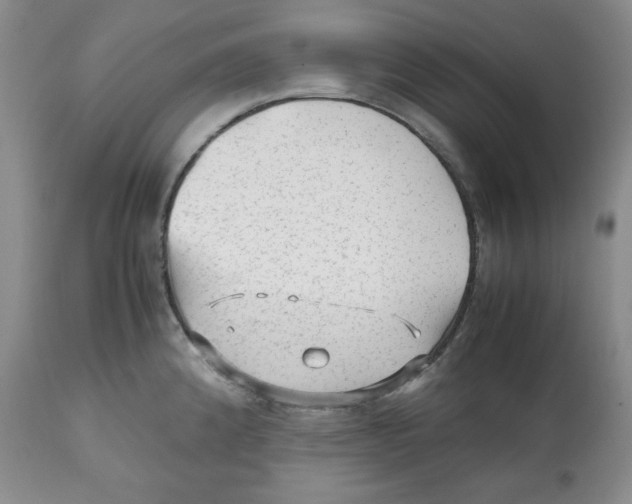 X0000112511192200909141152