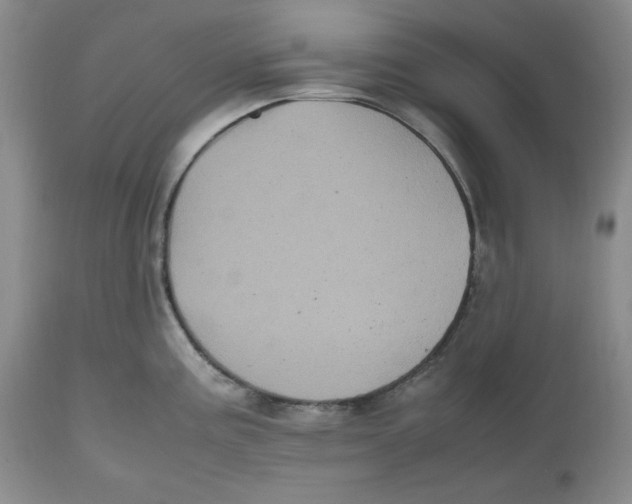 X0000112511195200909141152